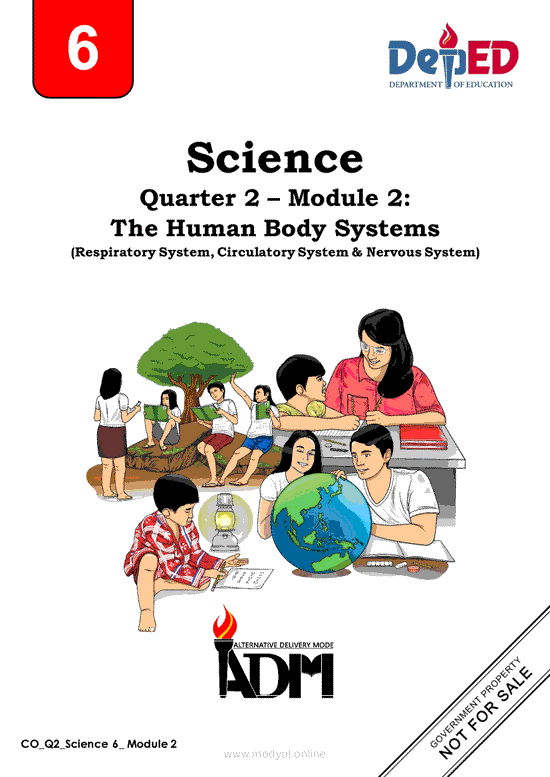 Science 6 Quarter 2 – Module 2: The Human Body Systems (Respiratory System, Circulatory System & Nervous System)
